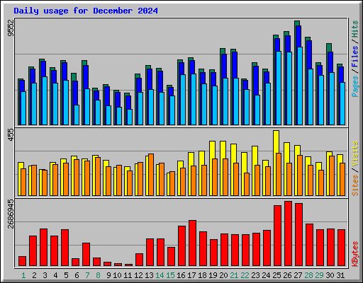 Daily usage for December 2024