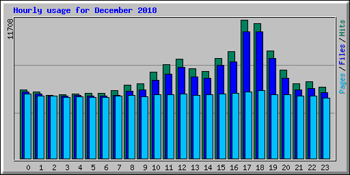 Hourly usage for December 2018
