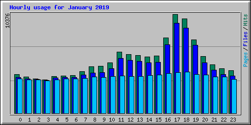 Hourly usage for January 2019