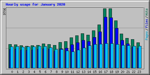 Hourly usage for January 2020
