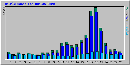 Hourly usage for August 2020
