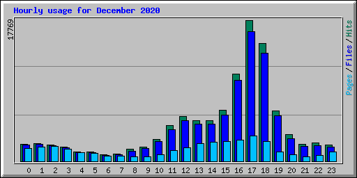Hourly usage for December 2020
