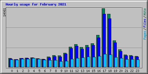 Hourly usage for February 2021