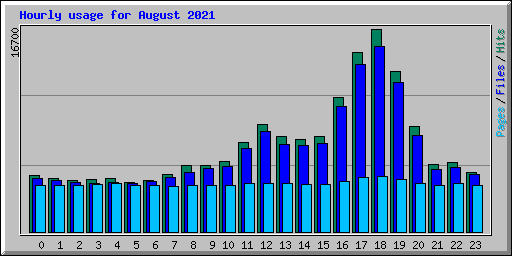 Hourly usage for August 2021