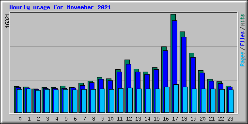 Hourly usage for November 2021