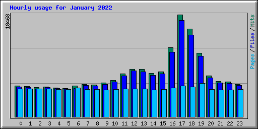 Hourly usage for January 2022