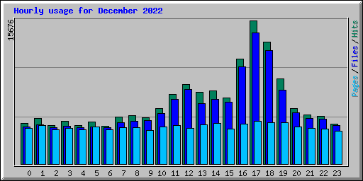 Hourly usage for December 2022