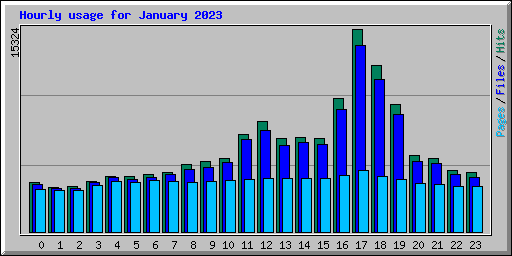 Hourly usage for January 2023