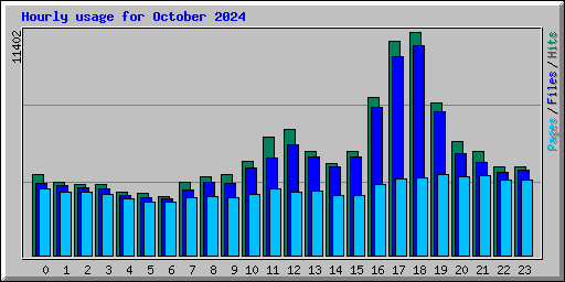 Hourly usage for October 2024