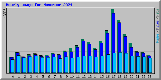 Hourly usage for November 2024