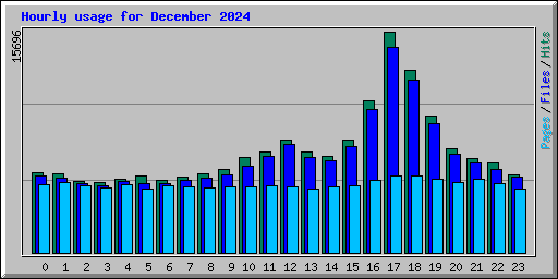 Hourly usage for December 2024