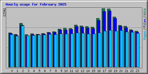 Hourly usage for February 2025