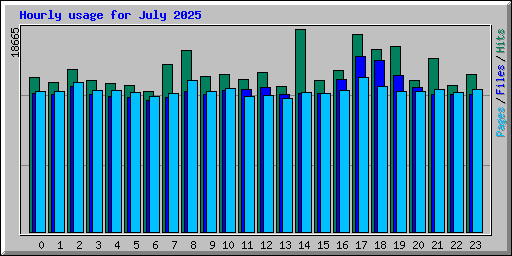 Hourly usage for July 2025
