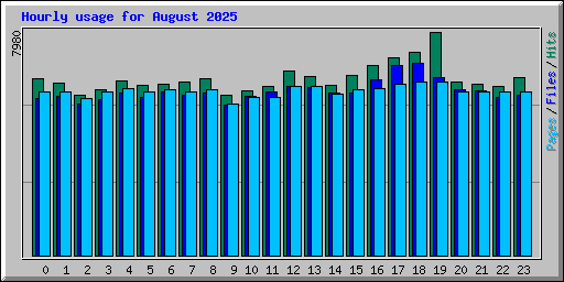 Hourly usage for August 2025