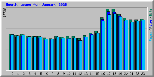 Hourly usage for January 2026