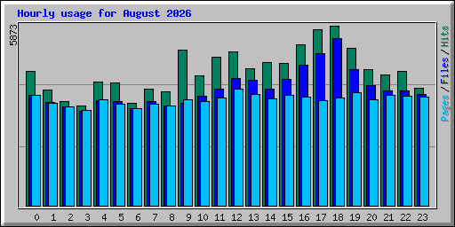 Hourly usage for August 2026